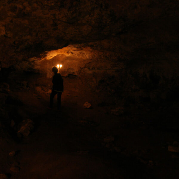 La grotte des Cingles /The Cingles cave